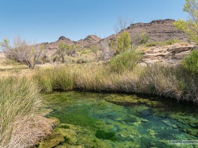 Ash Meadows National Wildlife Refuge: Desert Oasis Near Las Vegas