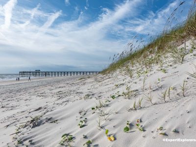 Where In Florida Is Amelia Island? (With Map)