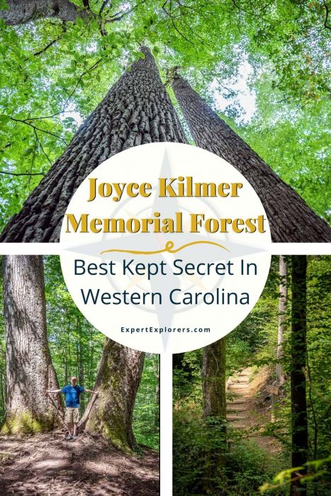 Pinterest Image Joyce Kilmer Memorial Forest