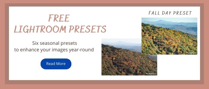 Free Lightroom Presets