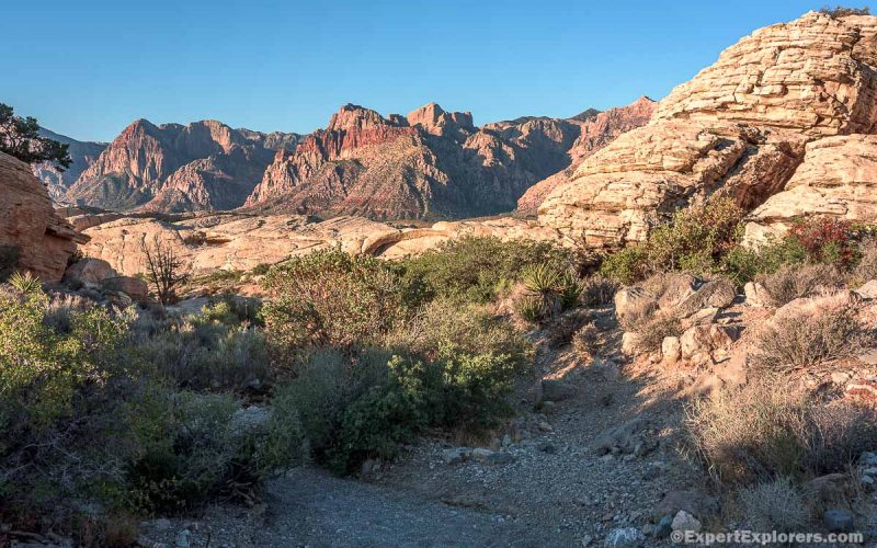 Red Rock Canyon: Escape Las Vegas for the Day