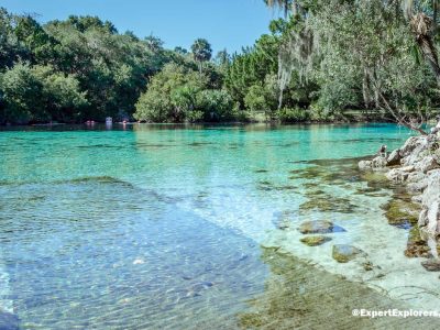 5 Natural Springs of The Ocala National Forest – Florida Travel Guide