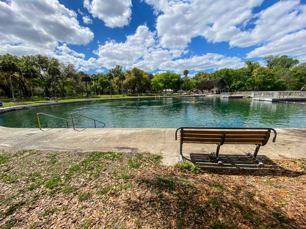 Wide view of the springs pool area from behind bench, De Leon Springs, Florida_