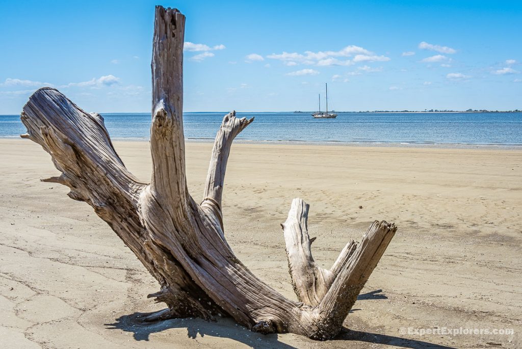 Driftwood on St. Andrews Beach with ship in the distance, Jekyll Island, Georgia