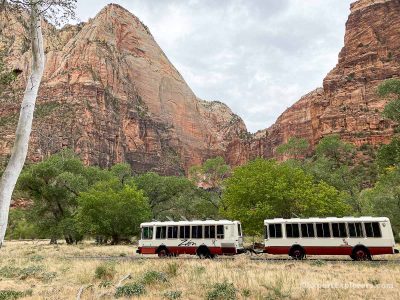 Getting Around Zion National Park: Parking, Shuttles, and More