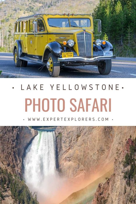 Lake Yellowstone Photo Safari Pinterest Image
