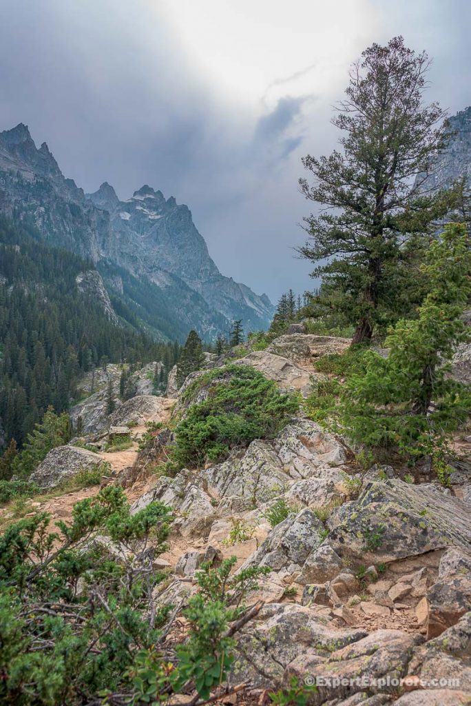 View of Teewinot Mountain, Inspiration Point, Grand Teton, Wyoming