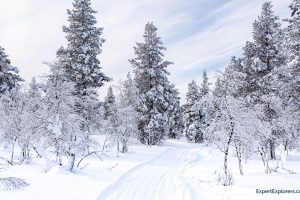 Ivalo, Finland: Northern Lapland’s Winter Wonderland